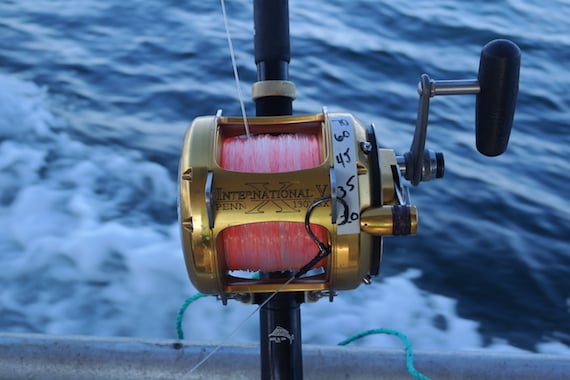 Gear & Tackle - My Fishing Cape Cod
