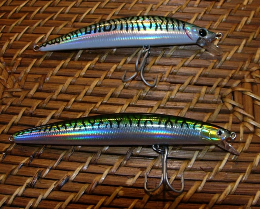 How To Keep Your SP Minnow From Damaging Small Fish - My Fishing Cape Cod