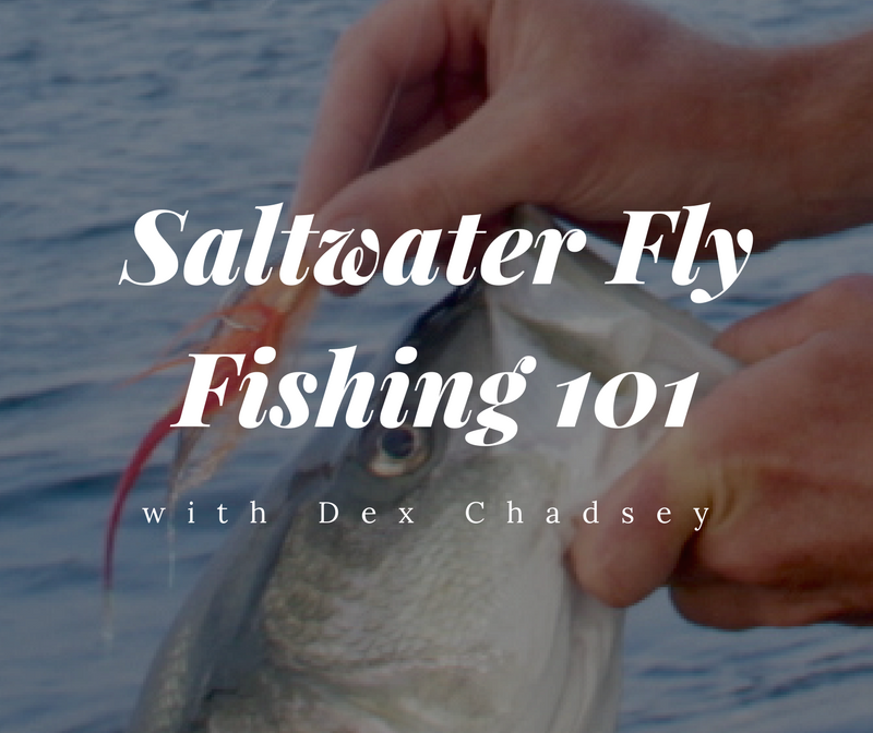 Saltwater Fly Fishing 101 - My Fishing Cape Cod
