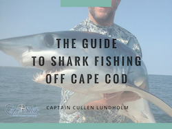 fishing cape cod canal ecourse