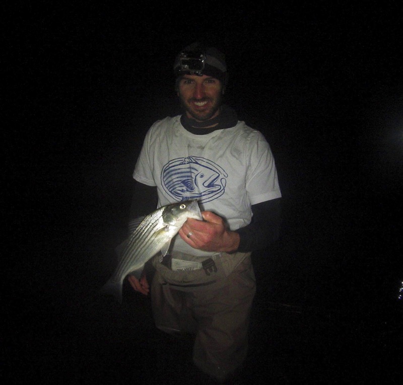 cape cod holdover striped bass april 8 jason mazzola ryan collins