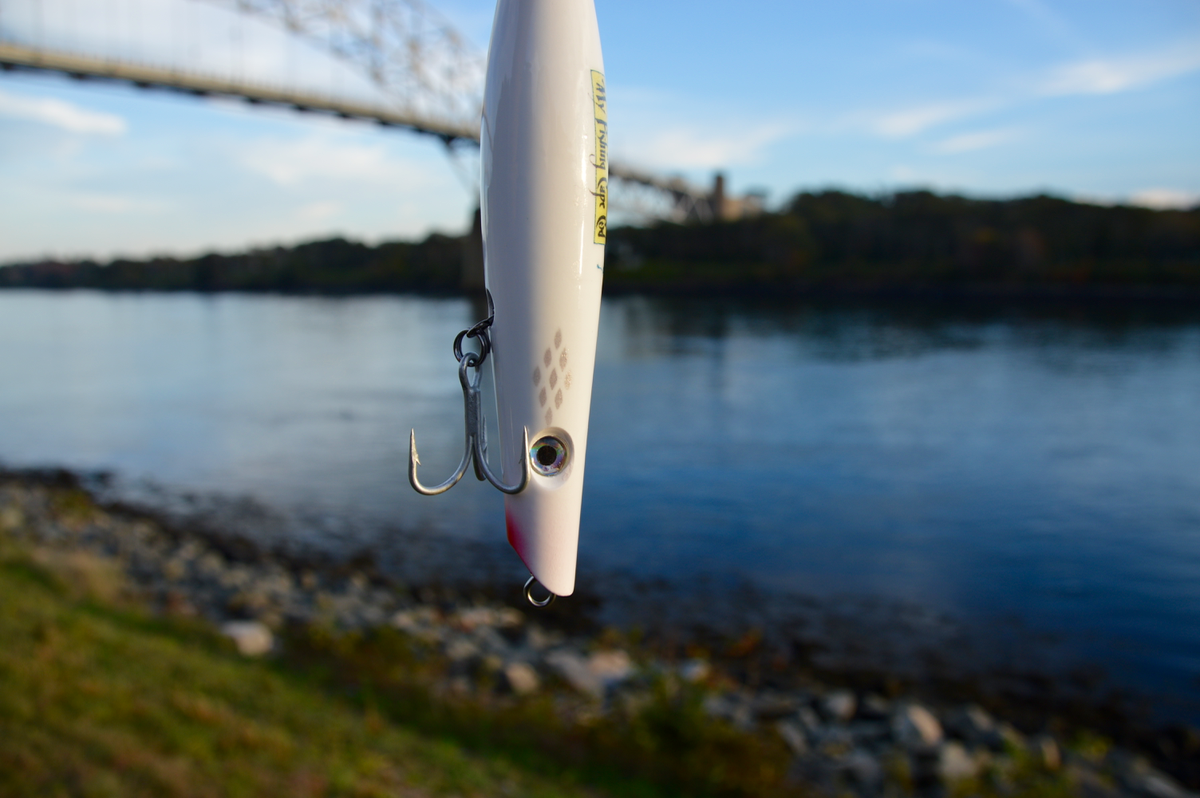 Guppy Lure Pencil Popper Giveaway - My Fishing Cape Cod