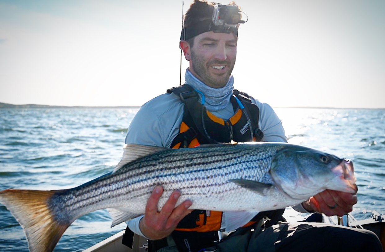 Topwater Striped Bass  Heart-Pounding Doc Footage!