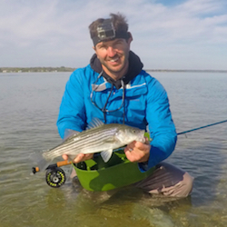 Fly Fishing For Stripers On Cape Cod Remains Productive