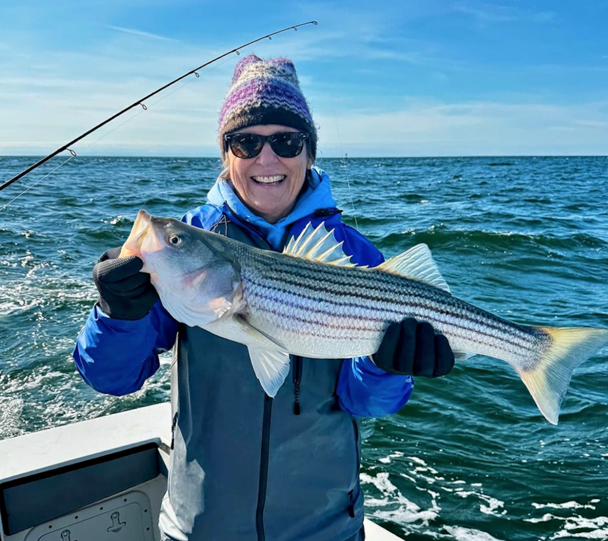 late october monomoy striped bass