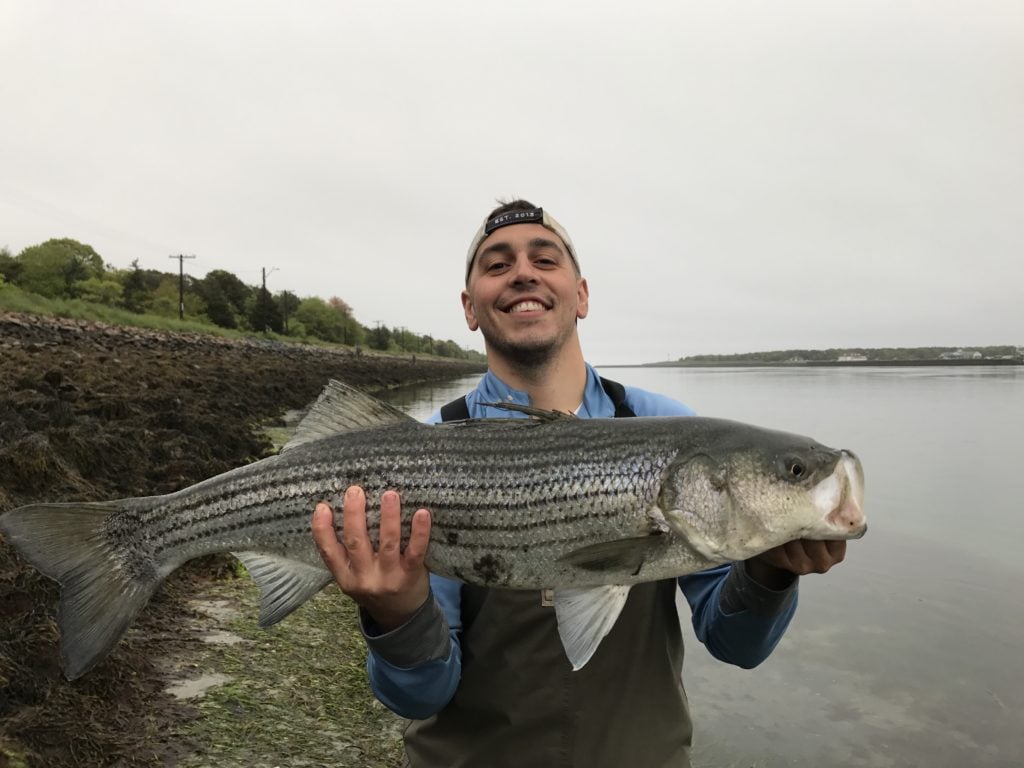 Casting Tins for Striped Bass and Bluefish