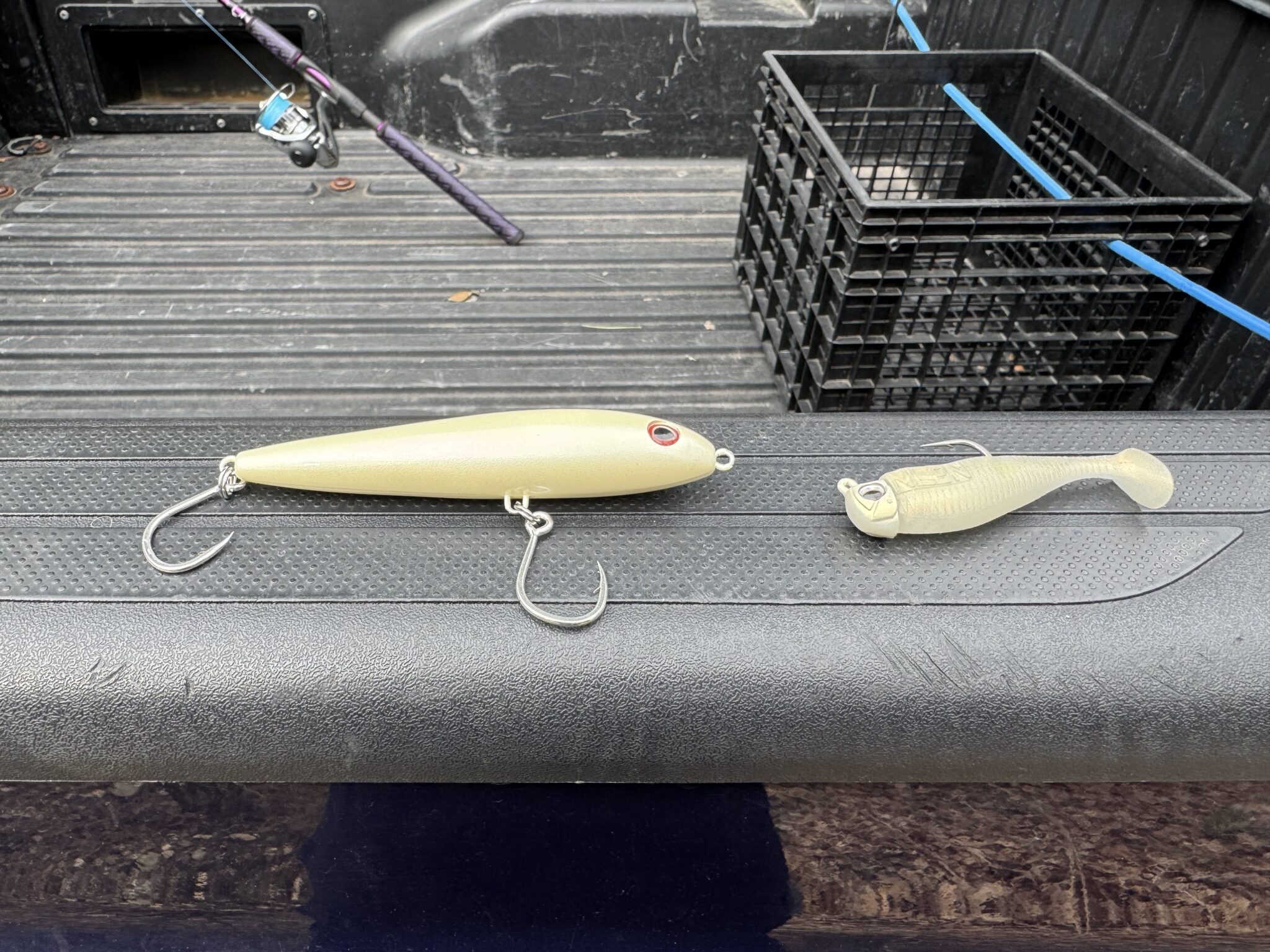 Dark Matter Feeder Minnow (left) 3" NLBN Paddletails (Right)