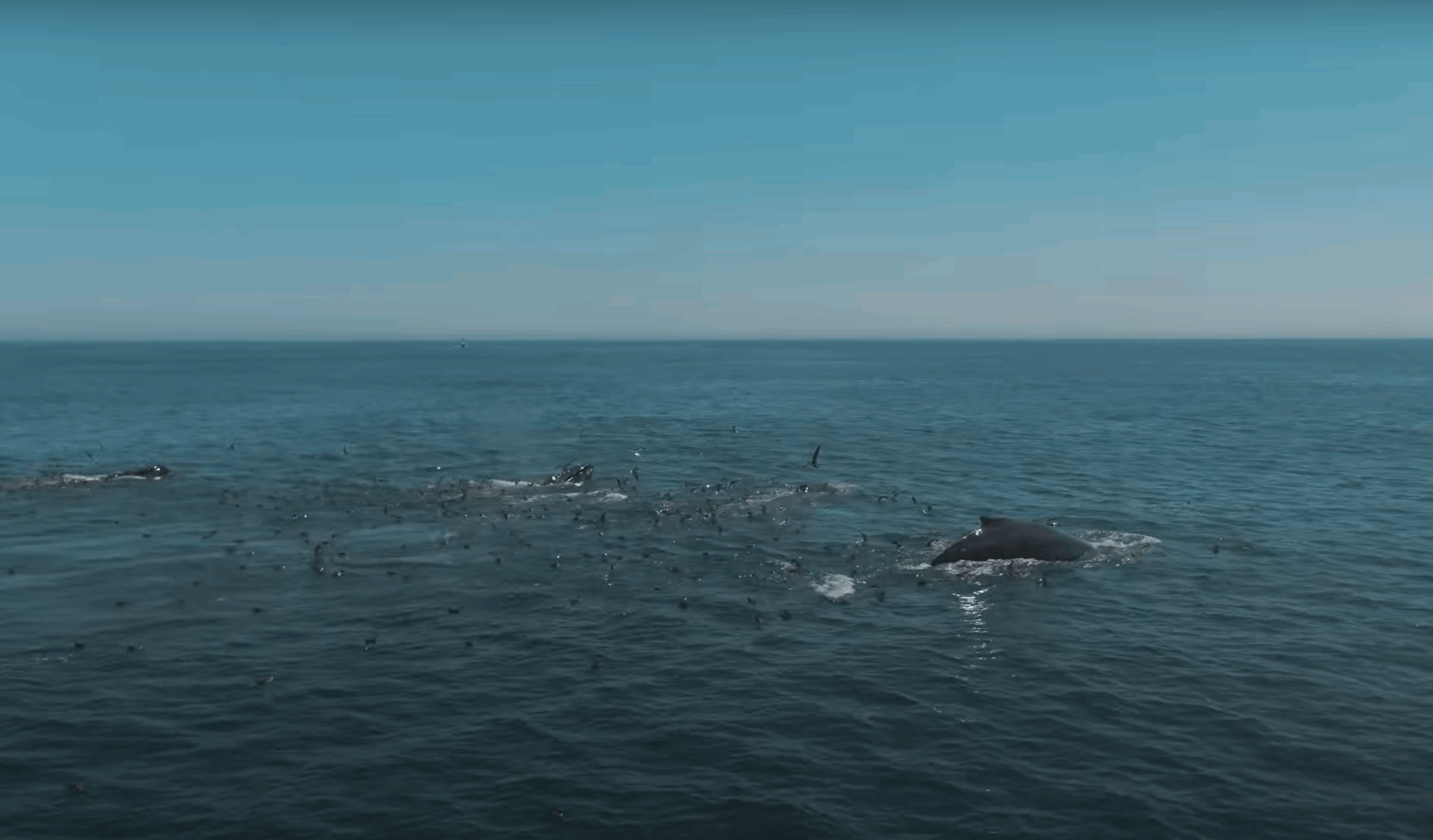 Screenshot 2025-06-24 144319