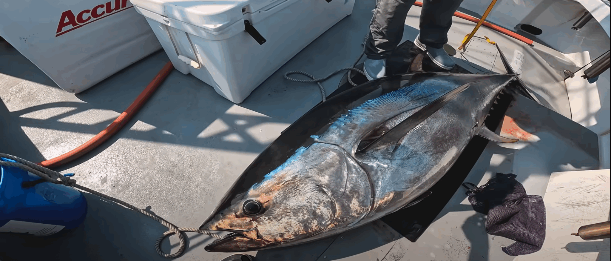 Screenshot 2025-06-24 150001