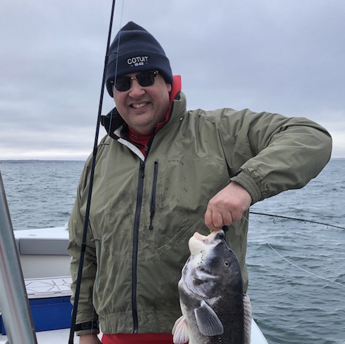 Big Blackfish Have Arrived On Cape Cod