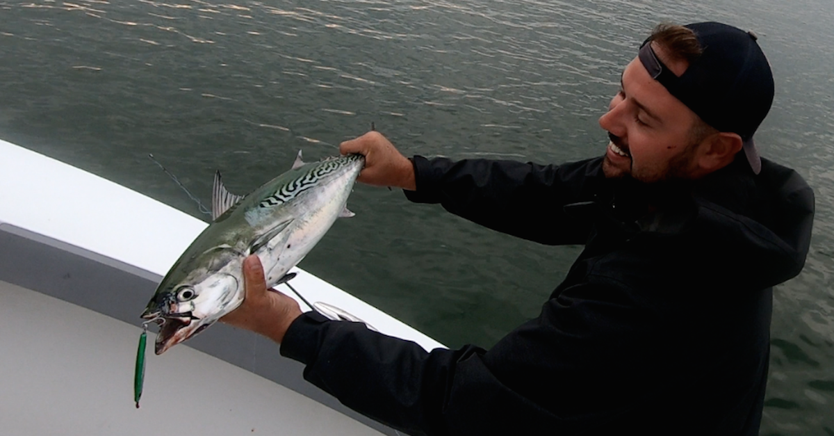 The best lures for albie fishing in the waters around Cape Cod