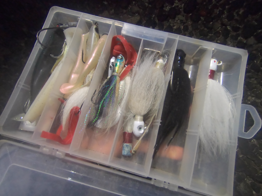 3 Simple Tips For Catching Stripers From Shore On A Bucktail Jig