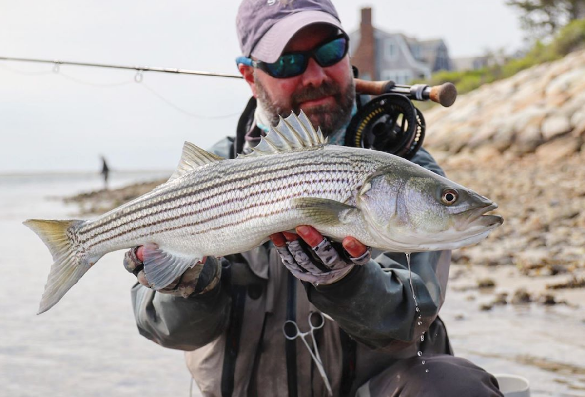 Highlights From This Week On My Fishing Cape Cod