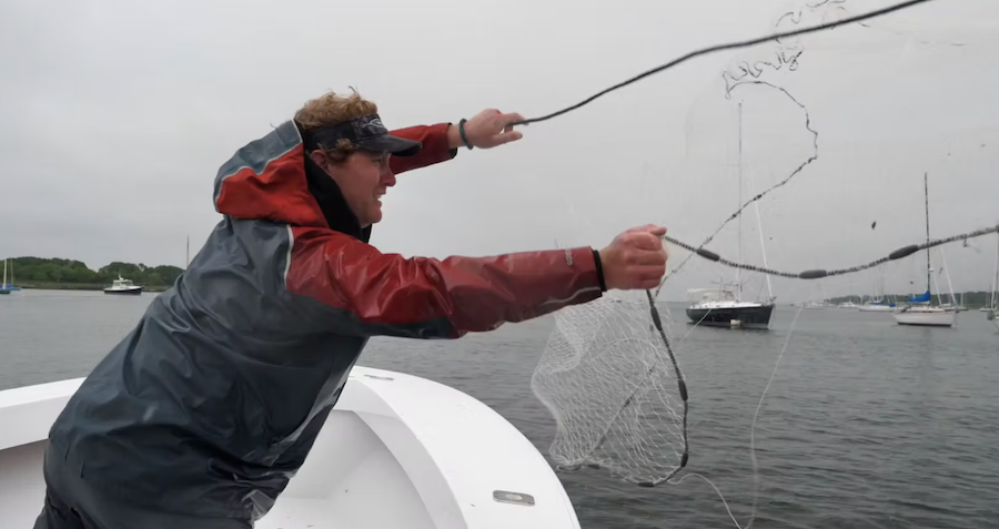 Cast Netting Pogies to Use as Bait for Huge Stripers - My Fishing Cape Cod