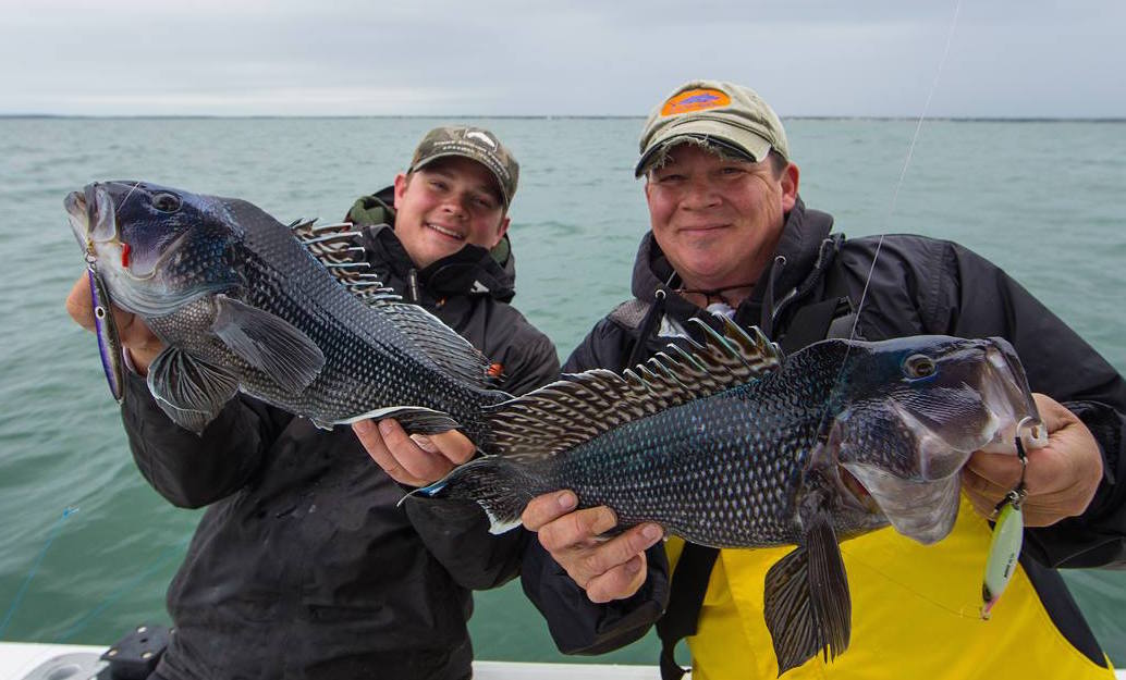 Black Sea Bass, Fluke and Sea Robins – Hook & Spoke
