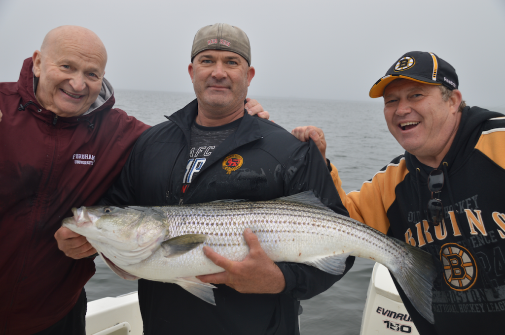 stop-gut-hooking-striped-bass-by-using-this-type-of-circle-hook