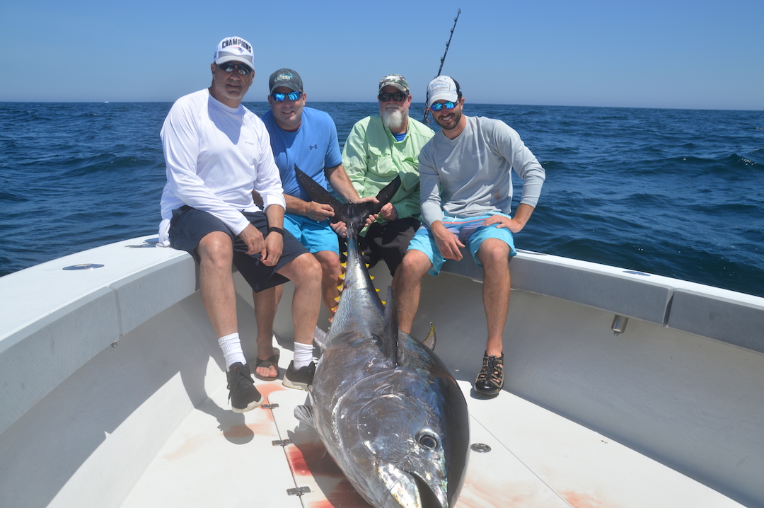 Cape Cod Fishing Guide & Report July 3rd - July 10th