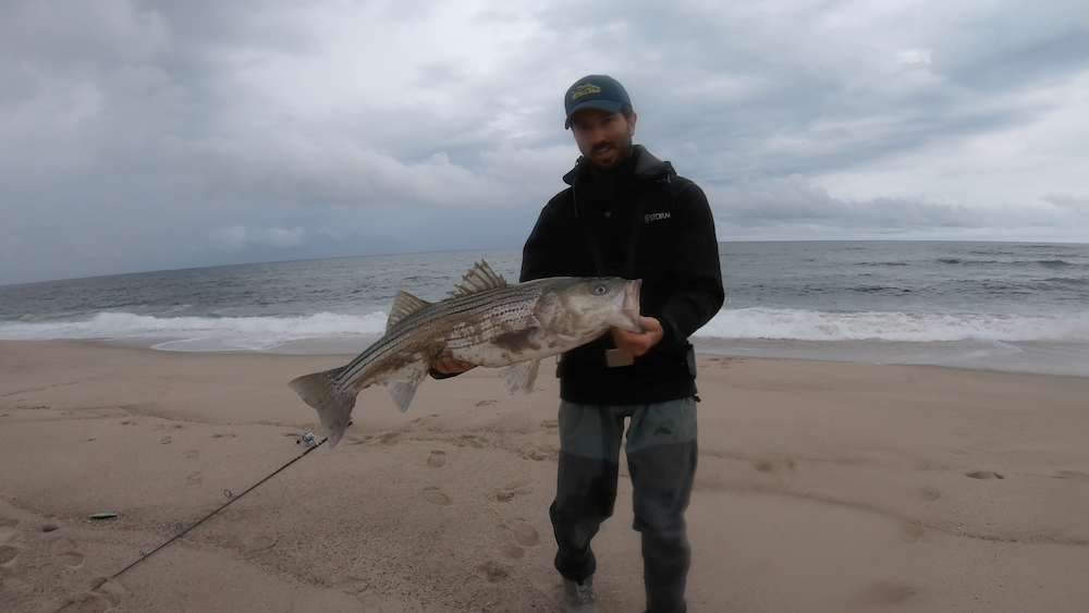 Reliving One of the Best Mornings of Surfcasting I've Ever Had - My Fishing  Cape Cod