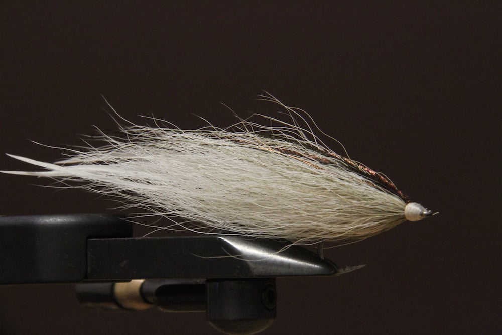 Kevin Adley's 5 Favorite Flies For Striped Bass Fishing On Cape Cod