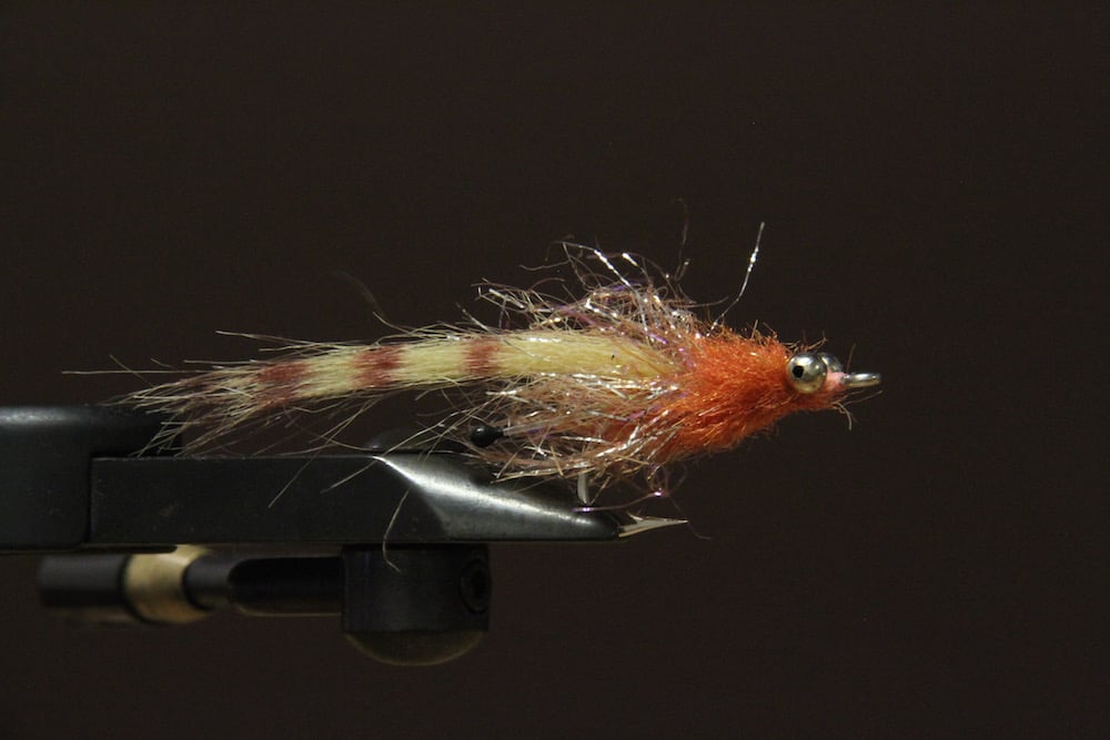 Kevin Adley's 5 Favorite Flies For Striped Bass Fishing On Cape Cod