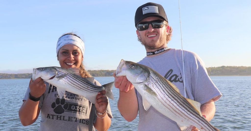 Fishing For Bluefish On Cape Cod