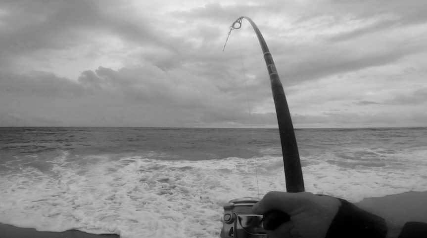 Reliving One of the Best Mornings of Surfcasting I've Ever Had - My Fishing  Cape Cod