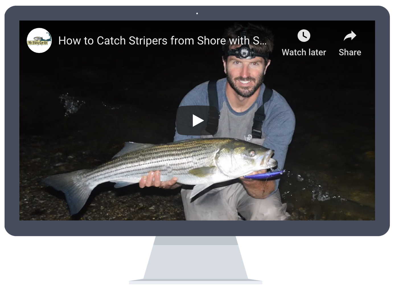 How to Catch August Stripers from Shore with Swimming Lures