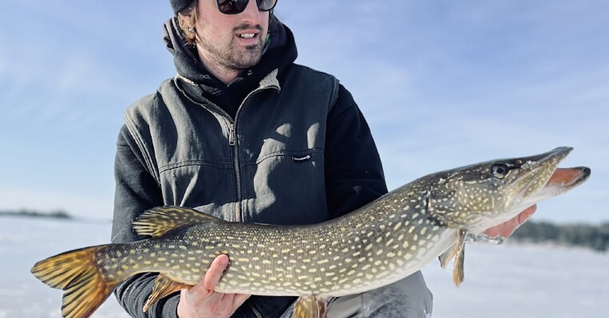 Ice Fishing off Cape for Pike, Lakers & More - My Fishing Cape Cod