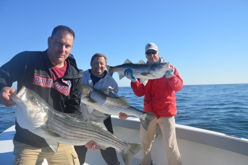 The Cape Cod Striper Season Is Far From Over - My Fishing Cape Cod