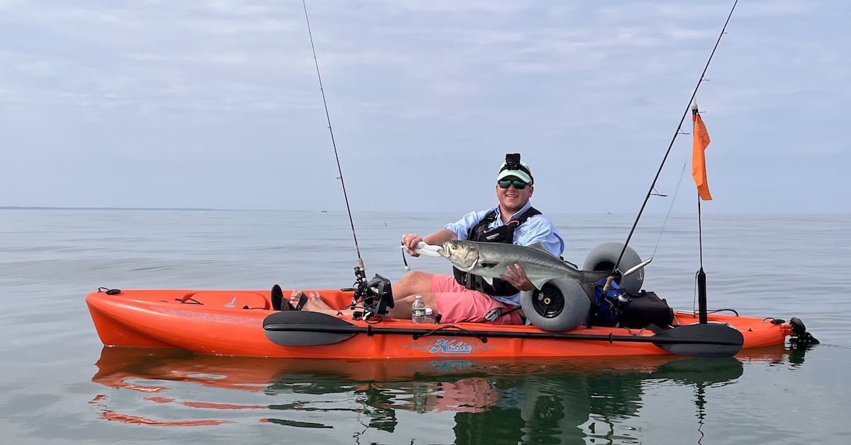 kayak fishing for bluefish in cape cod bay