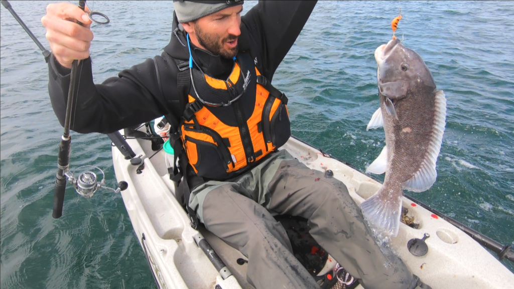 Bulldogs in the Boulders: Kayak Tautog Fishing