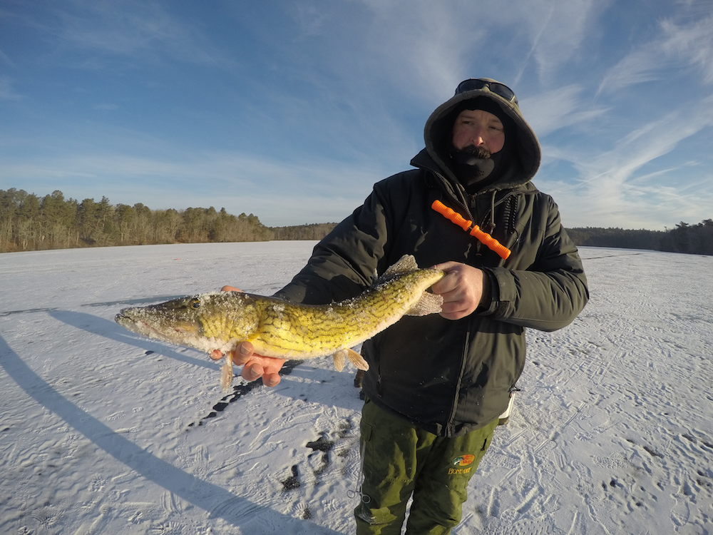 Winter Pike and Perch Fishing - Martin Collison - TronixFishing