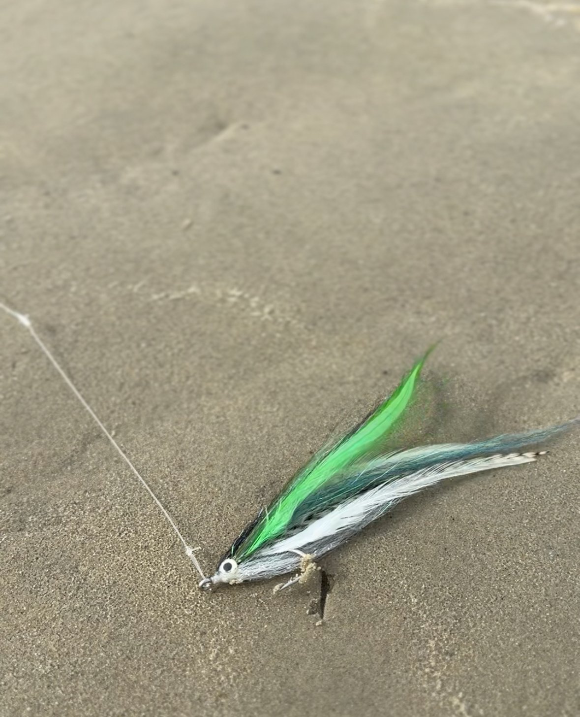 mackerel fly