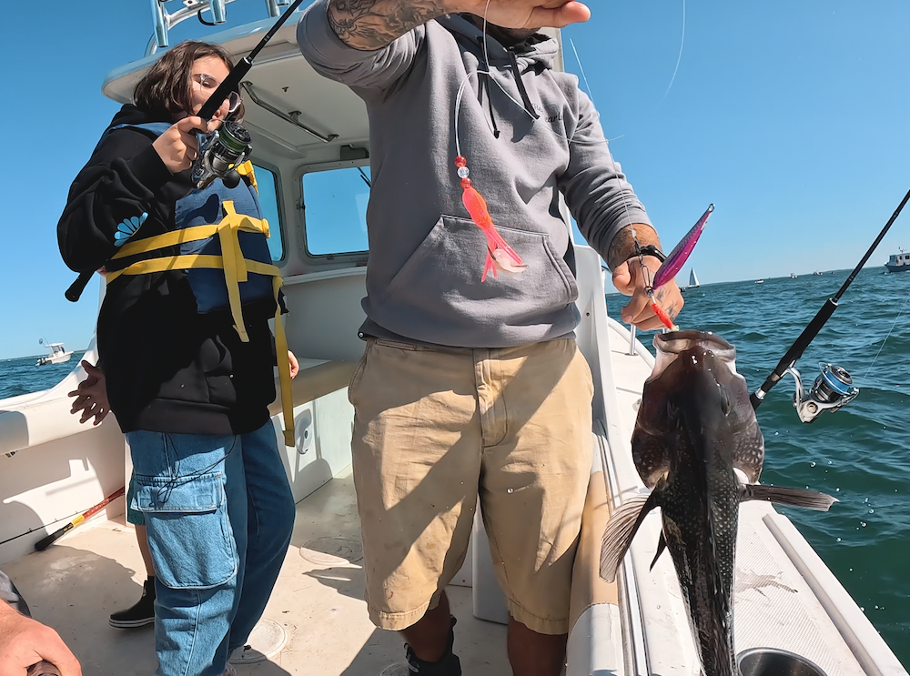 Sea Bass Episode  Extra Info - My Fishing Cape Cod