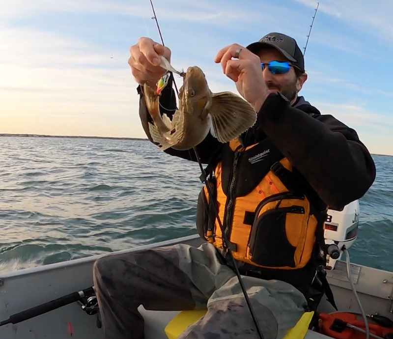My Sea Robin Fishing & Eating Experience - My Fishing Cape Cod