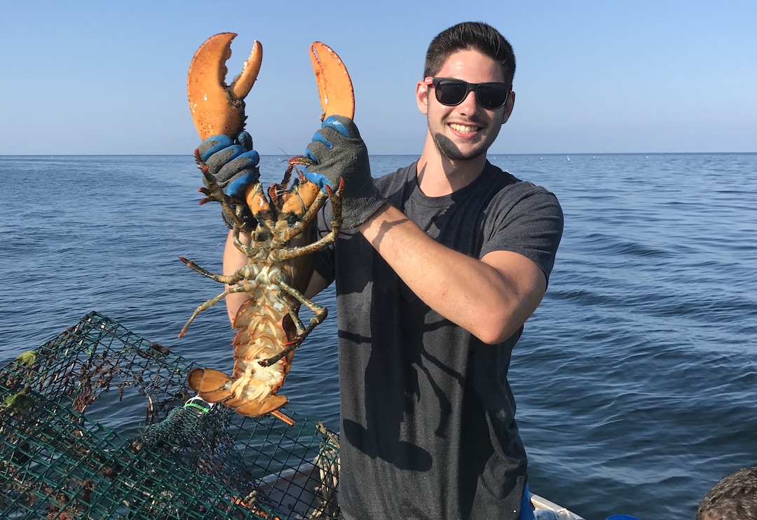 Getting Started With Recreational Lobstering - My Fishing Cape Cod