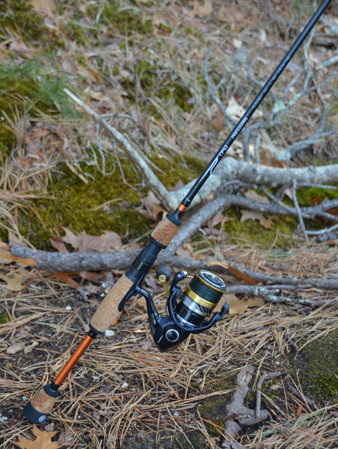 How to Catch Springtime Squid on Cape Cod 