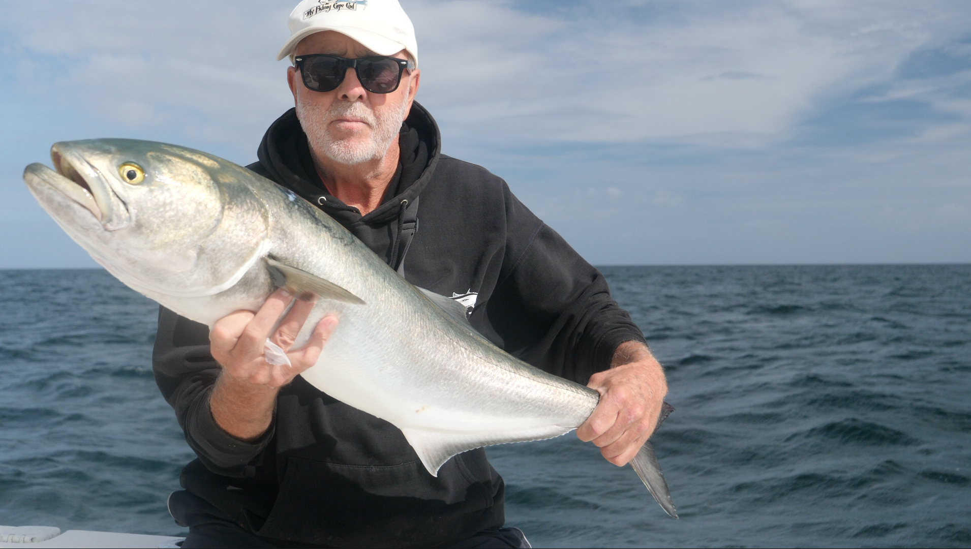 Learn About the Bluefish – Fishing