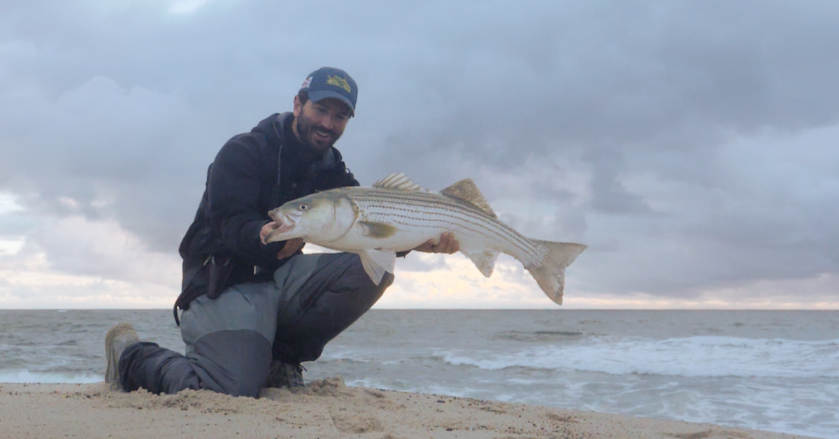 Surfcasting for Stripers is on Fire