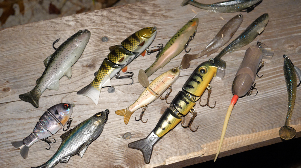 Bass Magnet Lures Rainbow Trout Swimbait - Soft Baits -   - Tackle Building Forums